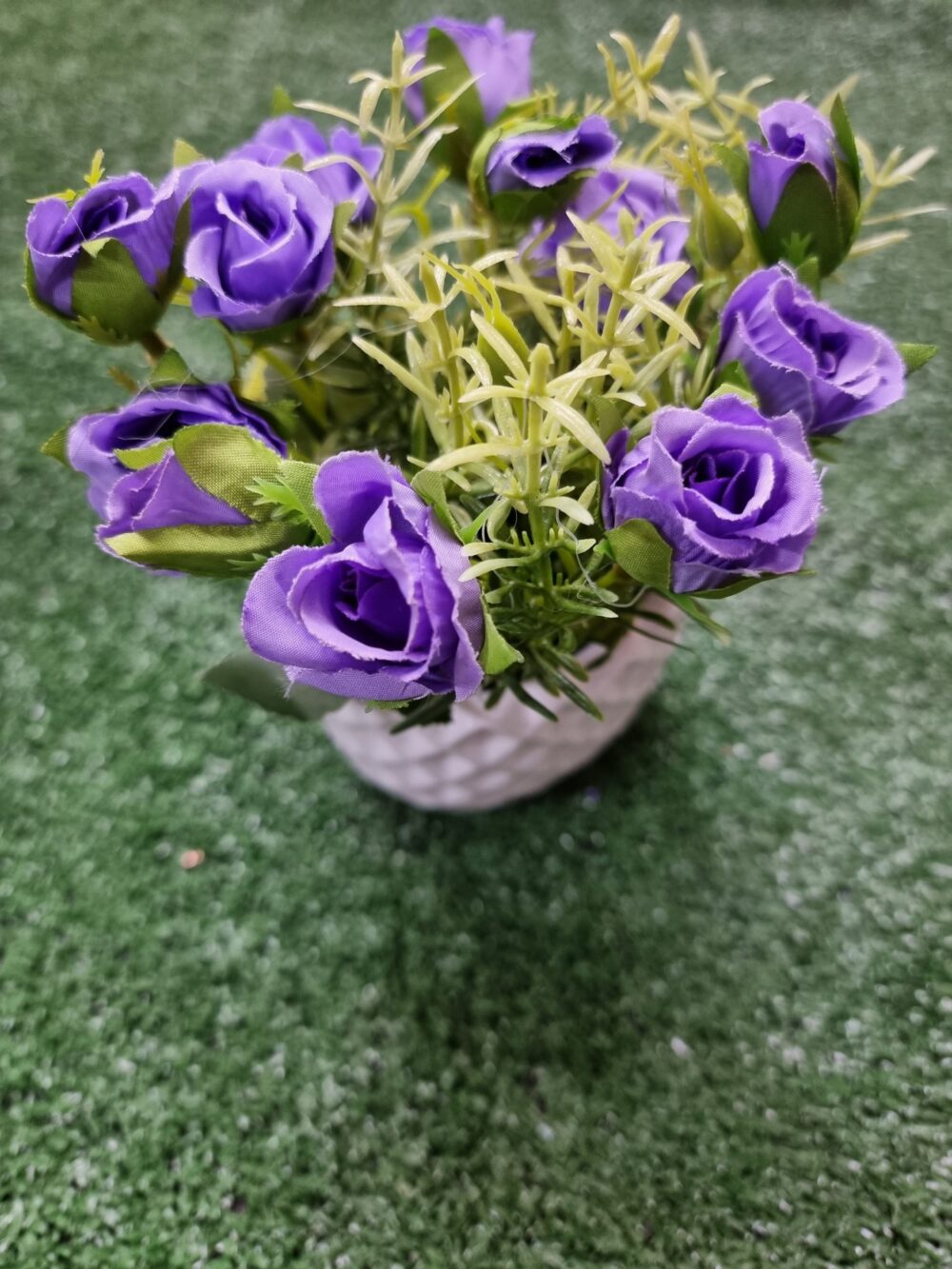 שיח ורד מיני באדנית קרמי